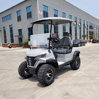 Lifted Off Road Diesel Golf Buggy 2 Seater Battery Operated Utility Cart for Industrial Park Theme Park Resort Maintenance Work