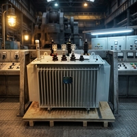 Transformateur immergé dans l'huile triphasé en aluminium S13 250 kVA 400 kVA 400 kW à économie d'énergie pour extérieur