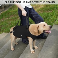 Harnais de transport pour chien HIPHOPPET en polyester, respirant, durable, avec boucle à dégagement rapide, ajustable, pour petits chiens