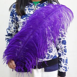 Besar 70-75 cm dicelup bulu burung unta halus pola diputihkan untuk kostum karnaval & Showgirl hiasan kepala aksesoris - Product Image 4