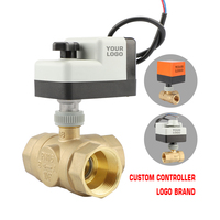 Mini-moteur électrique à commande par micro-interrupteur, boule d'eau électrique, cycle de vie long, AC220V/AC24V, température normale, maison, vanne 2 voies DN25