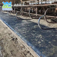 Colchón Impermeable Antifatiga para Vacas Lecheras con Cubierta de Goma y Núcleo de Espuma de PU, Colchoneta para Cama de Ganado para Cría en Granjas