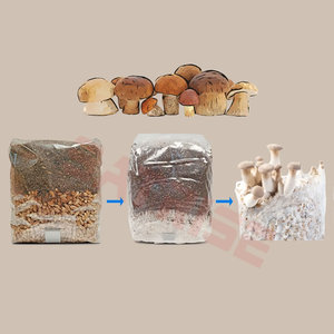 High-density Pp Mushroom Grow Bags With Injection Port With 0.2/0.5 Micron Filter Patch Customizable Autoclave-resistant - Product Image 2