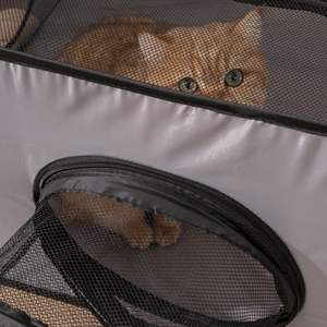 All'ingrosso interni traspiranti lati morbidi pieghevoli piccoli animali Cat Playpen con Tunnel Surround - Product Image 5