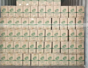 Líquido Lavavajillas Ecológico Sunlight con Aroma a Limón, 750g x 15 Botellas de Vietnam, Buen Precio, Gran Venta - Product Image 6