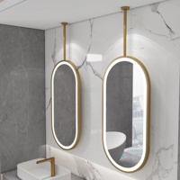 Miroir de salle de bain ovale en aluminium suspendu avec éclairage, miroir de maquillage suspendu pour hôtel et gîte