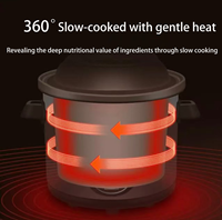 Marmite Électrique en Céramique Non Revêtue Grande Capacité pour la Cuisson de Soupes et de Conge, Certifiée CB
