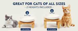 Support de gamelle surélevé pour chat en bambou moderne, poli, écologique et réglable, avec assiettes en céramique – Table d'alimentation surélevée pour animaux de compagnie - Product Image 5
