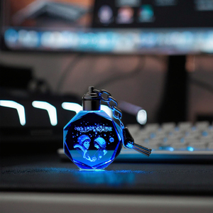 Custom Laser Head LED Keychain Stainless Steel & Crystal Glass Boy's Fun Gift Christmas Ornament Key Pendant