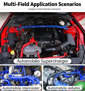 Tubo de silicona personalizable para modificación de coche, tubo de admisión turboalimentado de alta temperatura, moldura de mangueras de goma - Product Image 6