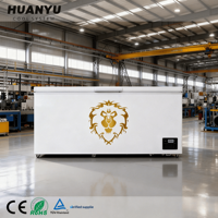 Congélateur horizontal commercial 400L-700L avec porte en mousse pour la restauration, stockage à froid, R290 écologique, certifié CE