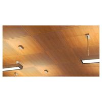 Panneau de plafond suspendu en aluminium antibactérien enduit de poudre insonorisé avec une garantie de 5 ans pour la salle d'hôpital étanche à l'humidité