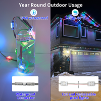 Control inteligente rgbw led pixel led luces navideñas ucs7604 1,02 W 4 wire 48V pixel LED Point lights