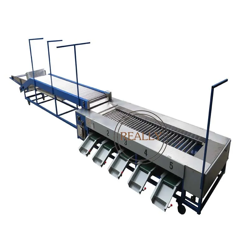Automatic Roller Tomato Grading Machines Easy Operation Accurately Filter Fruit Chestnuts Cherry Sorter for Sale