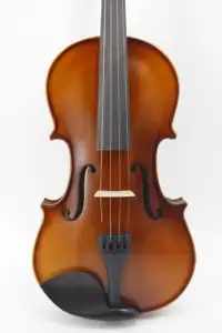 Concert Packing Profesy With Case Professional Handmade Best Sound Violin Instrumento Musical