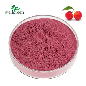 100% Natural VC Acerola Cherry Extract 17% 25% Vitamin C