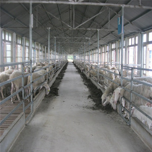 Bâtiment agricole préfabriqué en acier léger de haute qualité, abri pour moutons et chèvres - Product Image 6