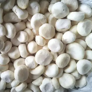 Châtaignes d'eau congelées IQF de qualité supérieure en étain-Durée de conservation de 3 ans Goût authentique Qualité supérieure - Product Image 5