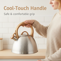 Bouilloire à thé sifflante de 3 L en acier inoxydable martelé, couleur personnalisable, pour tous les types de cuisinières - Vente en gros usine