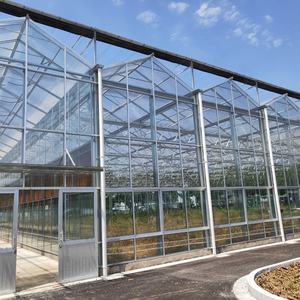 Многопролетная стеклянная теплица для выращивания цветов и овощей, сельскохозяйственное оборудование, тепличная система - Product Image 6
