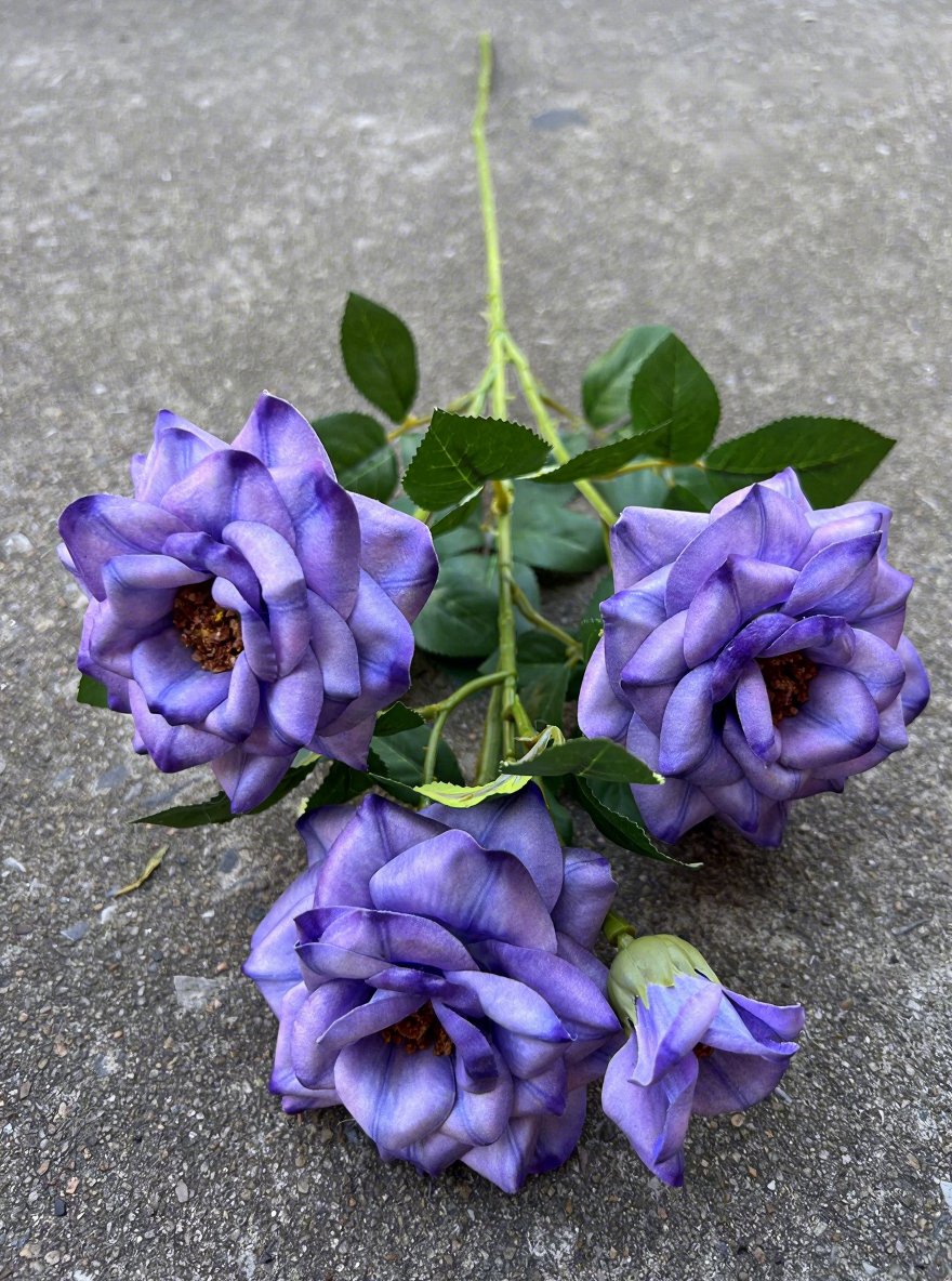5# longue sensation rose violet