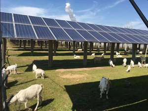 Sofar-inversor Solar trifásico de 8KW, 10KW, 12KW, 15kw, en red - Product Image 4