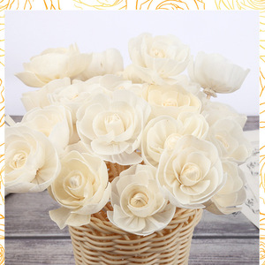 Newell Mây Garland Hệ Thống Bán Buôn Ngoài Trời Chất Lượng Tuyệt Vời Phòng Thơm Sậy Khuếch Tán Với Hoa Năng Lượng Mặt Trời - Product Image 2