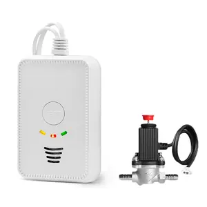 Alarm Baru Toma Corriente Detektor Kebocoran Gas Mudah Terbakar dengan Katup Solenoid Detektor Gas Domestik Mobil