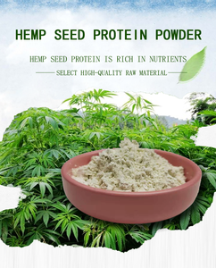 Reine Natürliche Nahrungsergänzungsmittel Hanfsamenextrakt Bio-Hanfpulver <span class=keywords><strong>Protein</strong></span> Hanfsamen-Proportionsextrakt - Product Image 1