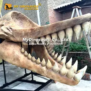 我的恐龙D43动物鲸鱼头和骷髅雕像出售