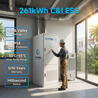 Batería de Litio Lifepo4 de 261Kwh 125Kw BESS, Batería de Almacenamiento de Energía, Contenedor BESS, Gabinete Exterior, Paquete de Baterías de Iones de Litio