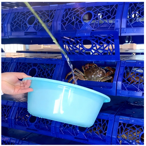 Gabbie per Granchi di Fango Personalizzate in Materiale PP Blu e Trappole per Acquacoltura per l'Allevamento - Product Image 5