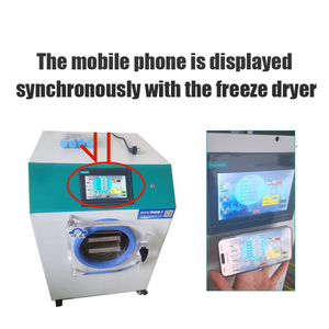 Liofilizador Doméstico <span class=keywords><strong>de</strong></span> Pequeña Capacidad con Engranajes y PLC para Procesamiento <span class=keywords><strong>de</strong></span> Alimentos, Acero Inoxidable SUS304 - Product Image 5