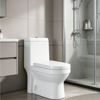 WC monobloc moderne à double chasse, cuvette allongée en céramique, fixation au sol, évacuation en P, design coloré pour hôtels