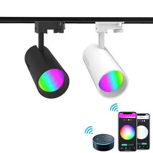 Buon fornitore saa ce smart led track light 15w 20w dali dimmerabile telecomando RGB RGBW led cob illuminazione a binario regolabile a colori