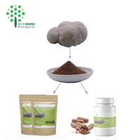 OEM Biologisch Leeuwenmanenextract Poeder met Privélabel 25-50g Blik/Fles/Vat Verpakking Beta Glucan 30%