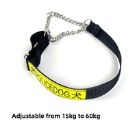 Laisse de dressage et de traction spéciale pour chien de grande taille, collier de base pour chien de travail