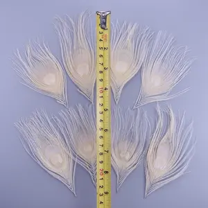 10 pièces/<span class=keywords><strong>lot</strong></span> teint blanc plume <span class=keywords><strong>de</strong></span> paon artisanat 10-15CM 4-6 "fabrication <span class=keywords><strong>de</strong></span> bijoux boucles d'oreilles création décor Xywae marque - Product Image 4