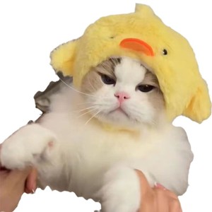 Chapeau en peluche pour chat et chaton Piggy Mimi – Décoration mignonne et amusante pour <span class=keywords><strong>photos</strong></span>, toutes saisons : anniversaire, Noël, Saint-Valentin - Product Image 5