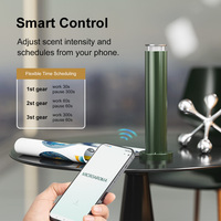 Diffuseur de parfum commercial intelligent DANQ 110 ml, machine à arôme à piles pour hôtel, bureau, spa, logo personnalisé OEM ODM