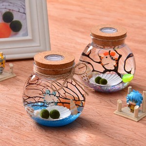 Moderno Micro paesaggio vaso di vetro con luce della fabbrica all'ingrosso <span class=keywords><strong>per</strong></span> <span class=keywords><strong>succulente</strong></span> piante di muschio sughero sigillato barattolo da tavolo - Product Image 3