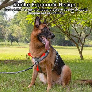 LOW MOQ Arnés para mascotas Fabricantes Diseño personalizado Arnés ajustable para perros Estilo Y con neopreno acolchado - Product Image 2