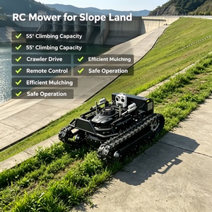 Tondeuse autoportée haute performance <span class=keywords><strong>à</strong></span> démarrage électrique, avec plateau <span class=keywords><strong>de</strong></span> coupe <span class=keywords><strong>de</strong></span> 30 pouces et kit <span class=keywords><strong>de</strong></span> mulching, idéale pour les petites propriétés et les fermes <span class=keywords><strong>de</strong></span> loisirs - Product Image 5