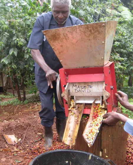 농장용 공장 도매 코코아 콩 껍질 필링 기계 고속 코코아 콩 필링 기계