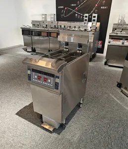 Ofe-213 Ce Iso High Quality Electric 2 Pots 2 Baskets Automatic Fryer Chicken Wings/French Fries Fryer