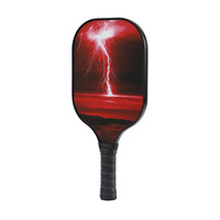 Raqueta de Pickleball de Fibra de Vidrio con Placa de Pluma, Certificada por la USAPA, Núcleo de PP Honeycomb, Set de Fibra de Carbono para Escuela
