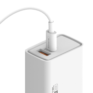 Caricabatterie Rapido USB Tipo C Doppio da 40W con PD3.0+QC3.0 <span class=keywords><strong>per</strong></span> <span class=keywords><strong>iPhone</strong></span>, Spina Personalizzabile US/EU/UK/AU/Argentina - Product Image 4