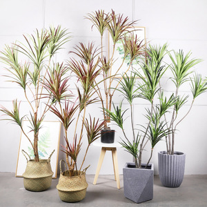 Cycad Artificiale Stile Instagram, Grande Bonsai da Pavimento con Foglie Rosse, Decorazione Imitazione Cactus - Product Image 2