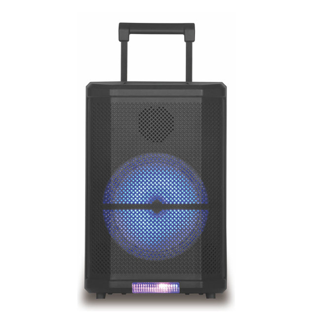 Hot Sale 8 Inch Portable Speaker High Quality Professional Amplifier with 100W Output Power and Wired Microphone