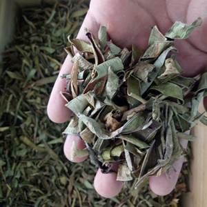 Lu Hui brut Chine gros naturel séché aloès arborescens feuilles tranches pour le thé - Product Image 2